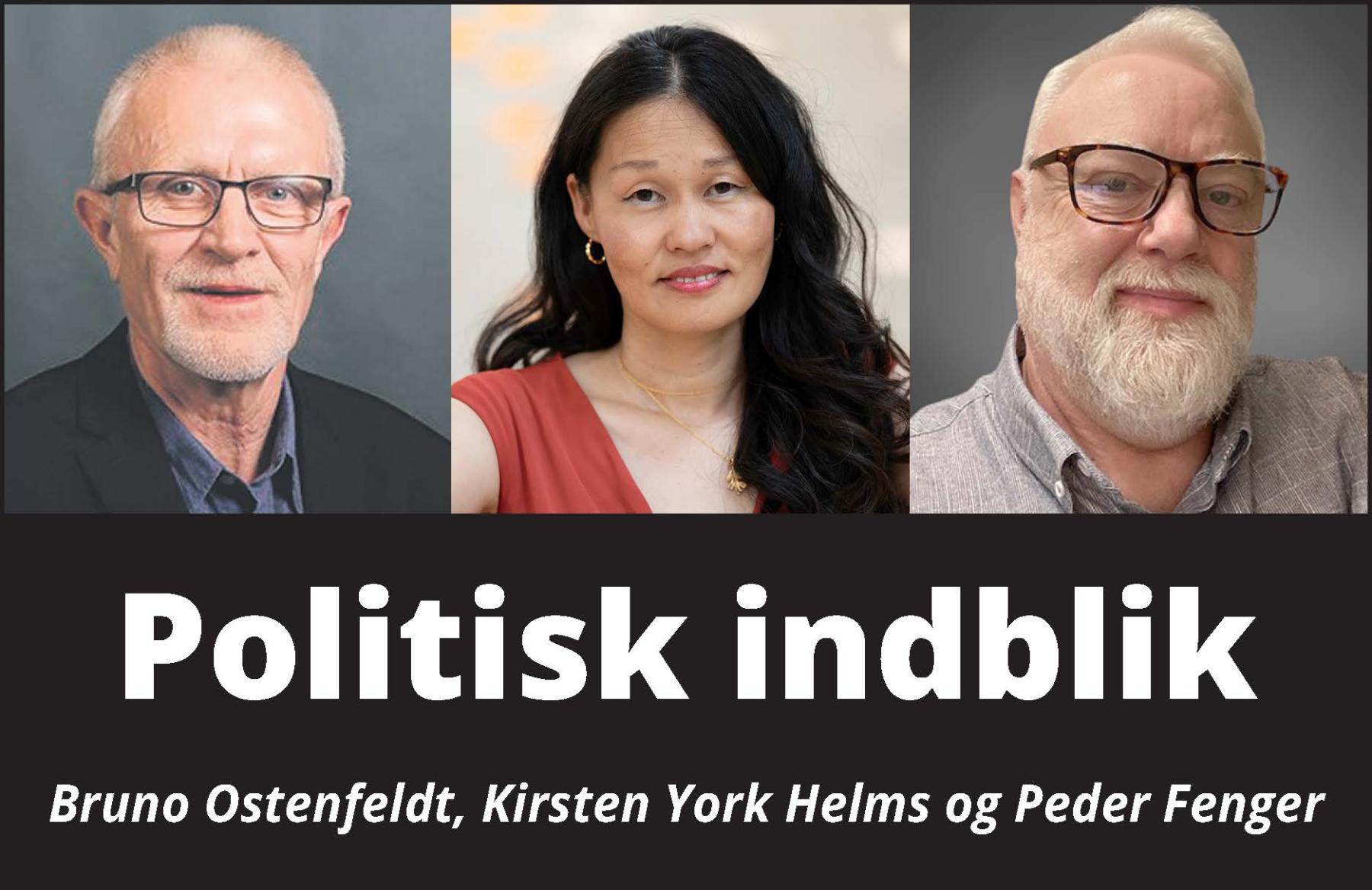Politisk indblik