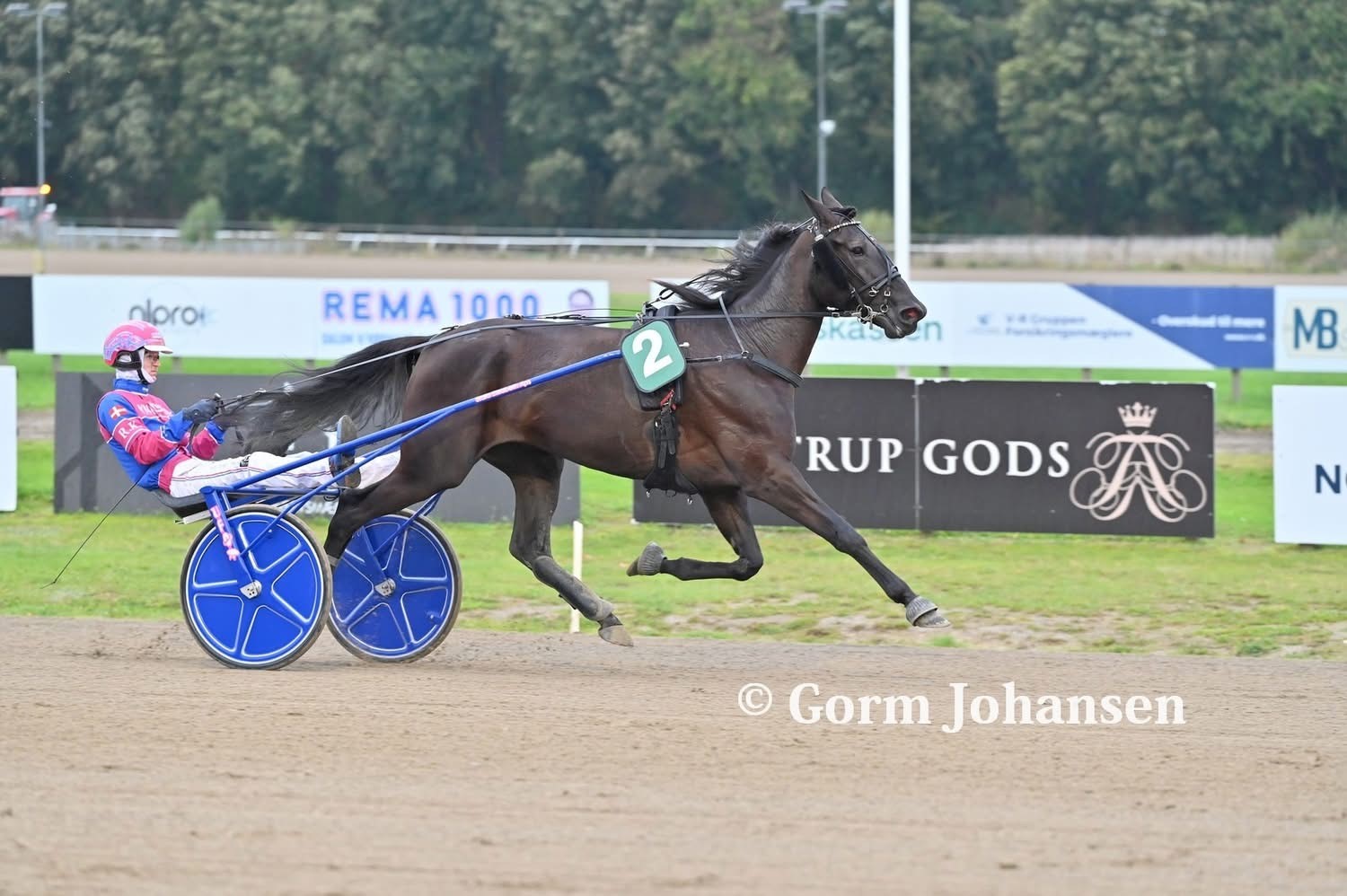 Ruben Kristensen