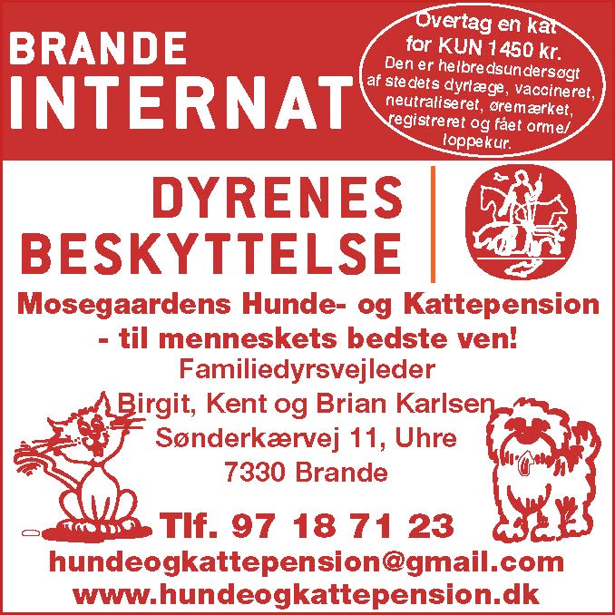 Brande Internat