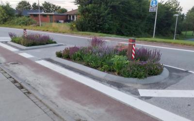 Vejchikaner