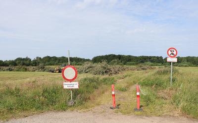 Den gyldne middelvej