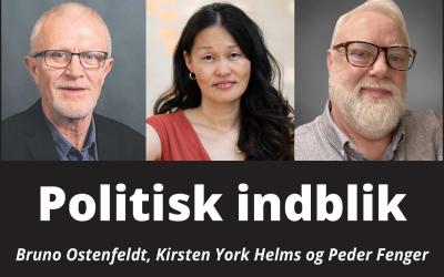 Politisk indblik