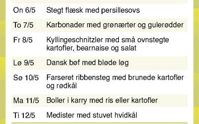 Brande Camping