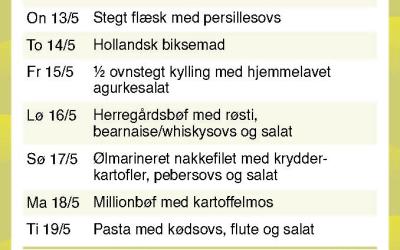 Brande Camping