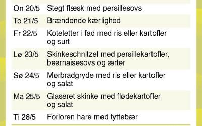 Brande Camping