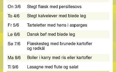 Brande camping