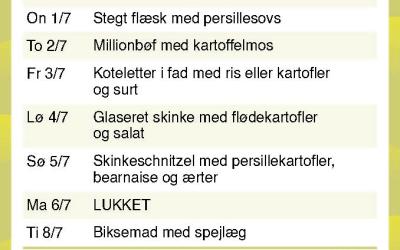 Brande Camping