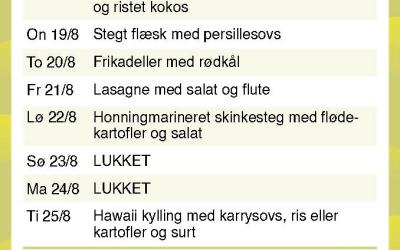 Brande Camping