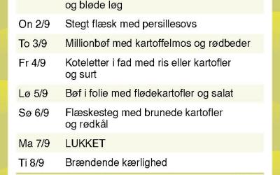 Brande Camping