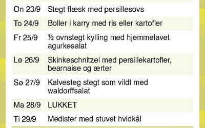 Brande Camping