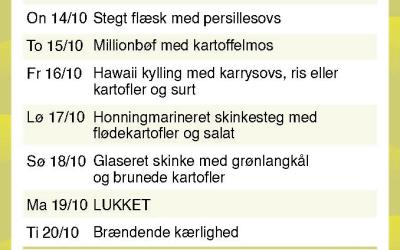 Brande Camping