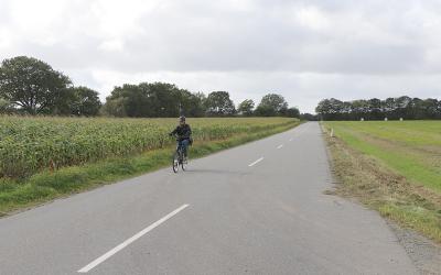 Cykelstier