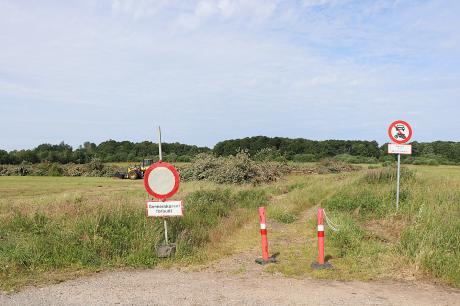 Den gyldne middelvej