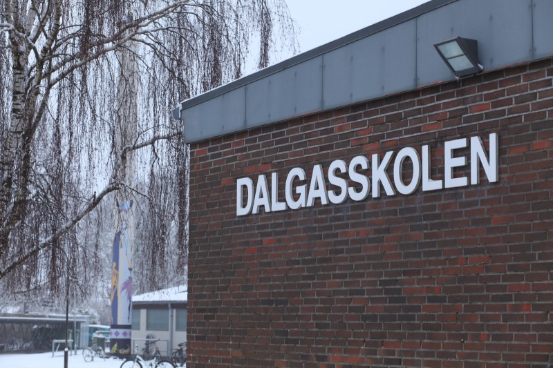 Dalgasskolen