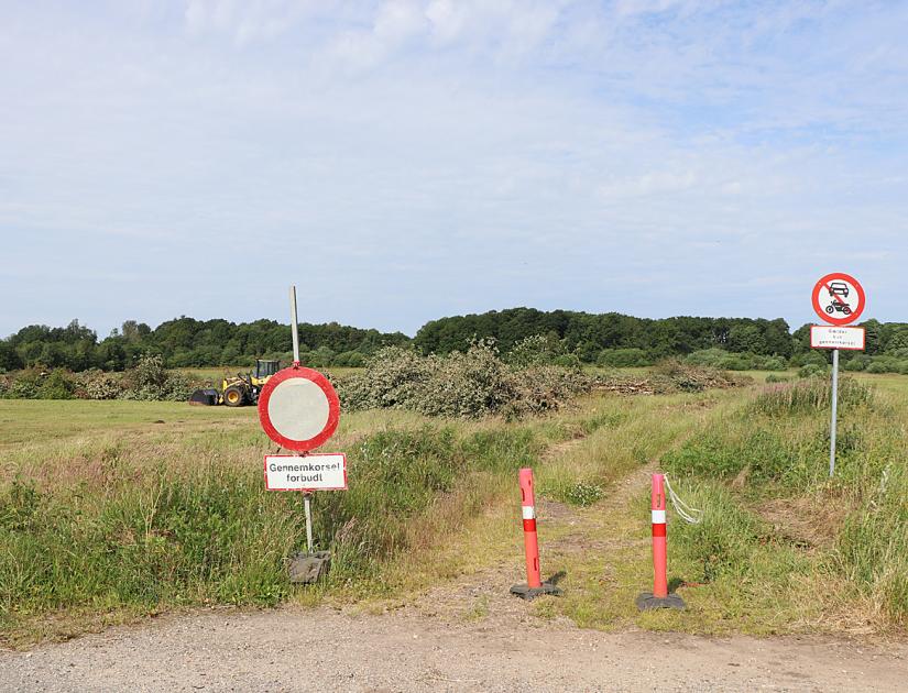 Den gyldne middelvej