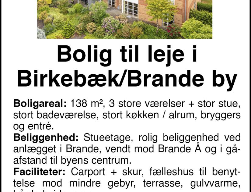 Birkebæk