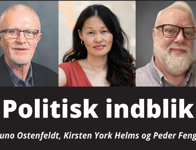 Politisk indblik